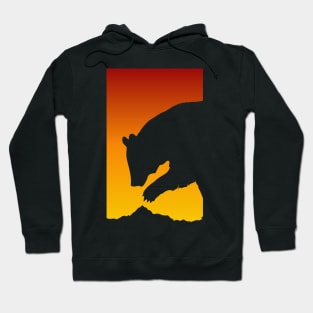 Sunset Bear - Grizzly Bear Black Bear Brown Bear - Bear Lover Gift Hoodie